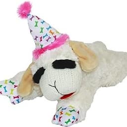 Best Birthday Gifts for Dogs - 40+ Pawsitively Perfect Ideas