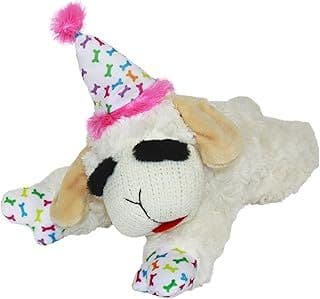 Best Birthday Gifts for Dogs - 40+ Pawsitively Perfect Ideas