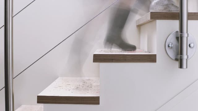 Dyson Ball Animal Total Clean Upright Vacuum, Corded, 290AW, Self-Adjusting Cleaner Head for All Floors, Homes with Pets