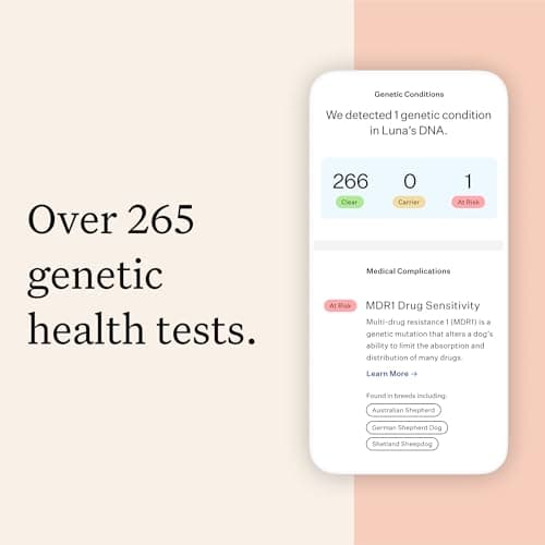 Wisdom Panel Premium Dog DNA Kit: Most Comprehensive with 265+ Health Tests, Identify 365+ Dog Breeds, 50+ Traits, Relatives, Ancestry, Genetic Diversity - Pack of 1