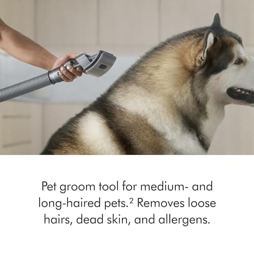 Dyson Ball Animal 3 Extra Upright Vacuum, Corded, 290AW, De-tangling Motorbar Cleaner Head for All Floors, 3 Suction Modes, Specialized pet Tools