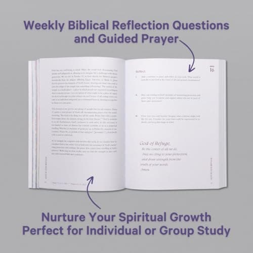 A Beautiful Year in the Bible: The 52-Week Bible Study for Women (SC)