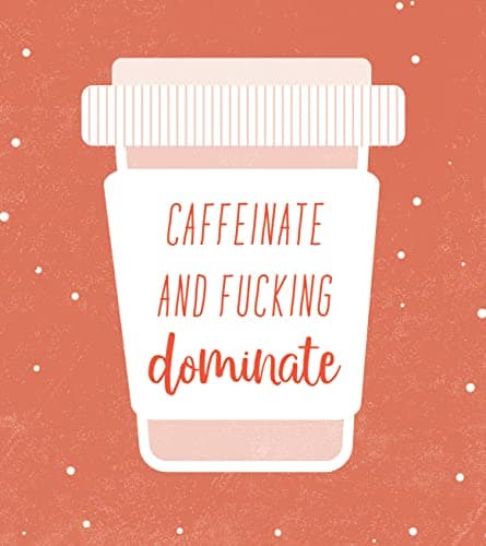 Ray of F*cking Sunshine Sticky Notes: 101 Happiness Notes to Swear and Share, a Funny and Inspirational White Elephant Gift (Calendars & Gifts to Swear By)