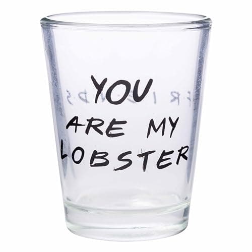 Silver Buffalo Friends Iconic Quotes "You're My Lobster," "How You Doin'" "Pivot," and "We Were On A Break!" 4 Pack Mini Glasses, 1.5 Ounces