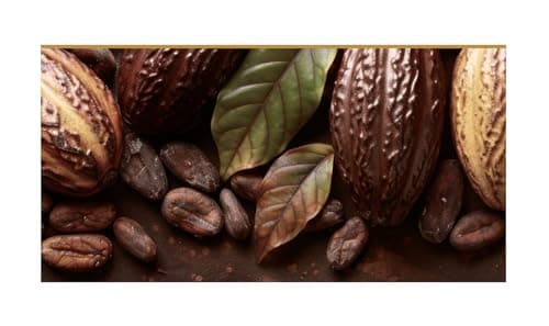 Lugano Premium Milk Chocolate Truffles Caramel Filled - Pack of 2 - Delicious and Decadent Chocolate - Perfect for Sharing with Friends and Family - 10 Truffles Per Box