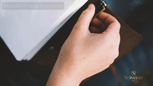 Scriveiner Silver Chrome Ballpoint Pen - Stunning Luxury Pen, Real Gold Plating, Schmidt Black Refill, Best Ball Pen Gift Set for Men & Women, Professional, Executive, Office, Nice, Fancy Pens