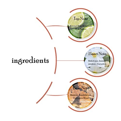 Michael Kors Wonderlust for Women Eau de Parfum Spray, 3.4 Ounce