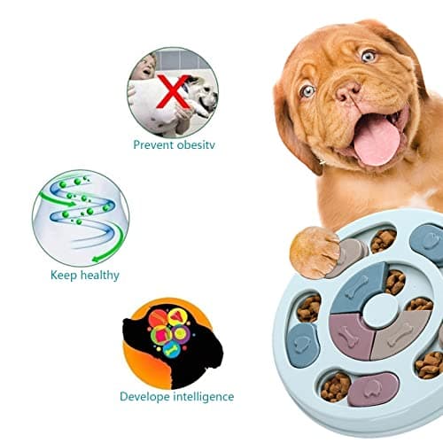 DR CATCH Dog Puzzle,Dogs Food Toys for IQ Training & Mental Enrichment,Dog Treat Puzzle(Blue)