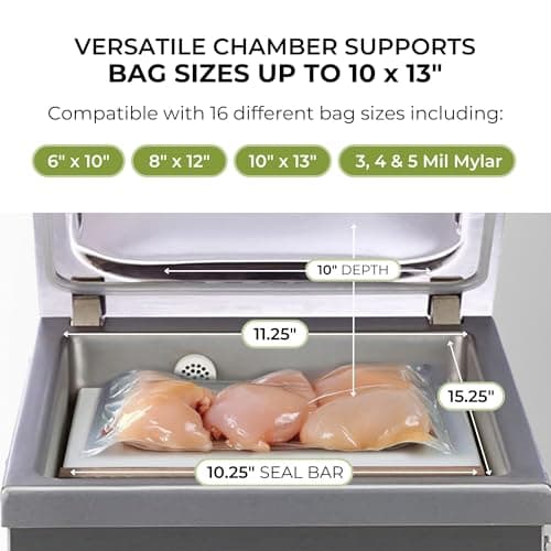 VacMaster VP210 Maintenance-Free Chamber Vacuum Sealer with 10.25” seal bar