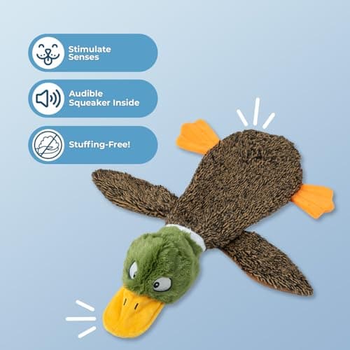 Best Pet Supplies 2-in-1 Stuffless Squeaky Dog Toys with Soft, Durable Fabric for Small, Medium, and Large Pets, No Stuffing for Indoor Play, Supports Active Biting and Play - 1Wild Duck, Small