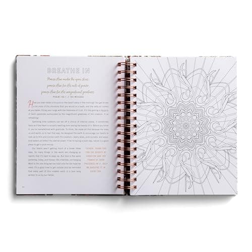 Set Your Mind on Things Above: Devotional Coloring Book