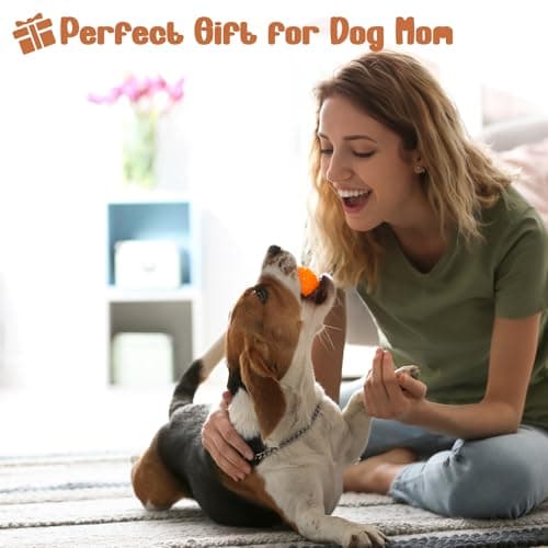 Dog Mom Gifts Makeup Bag IN MY DOG MOM ERA Singer Fans Inspiration Merchandise Travel Cosmetic Zipper Bag Dog Lover Gifts for Girls Women Gifts New Dog Owner