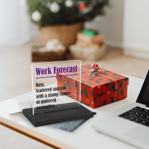 THRXOBN Cute Desk Decor for Coworker, Funny Profanity Gift for Work Colleague, Employee, Joke Birthday Office Gift for Coworker,Transparent Acrylic Desk Decoration, WYZ1