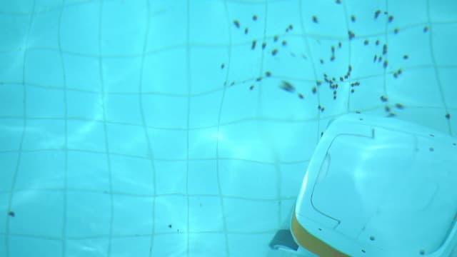 2025 Chasing Hydro 3 Robotic Pool Cleaner for Inground/Above Ground Pools, 150W Cordless Pool Vacuum, Max 200min Runtime, 4.1L Filter Basket, Auto Waterline/Wall Cleaning, Max 1076 sq.ft Coverage