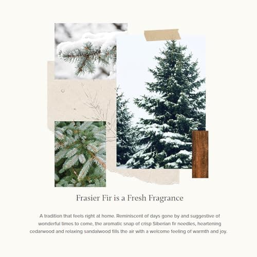 Thymes Frasier Fir Pine Needle Candle – Holiday Candles for Home Scented with Notes of Crisp Siberian Fir, Cedarwood & Sandalwood – Christmas Decor – Christmas Gifts for Women & Men (2 oz)
