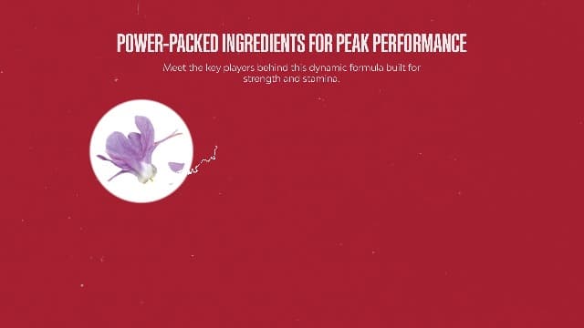 Horny Goat Weed for Men - Extra Strength Male Supplement with Black Maca Root, Tongkat Ali, Saw Palmetto & Panax Ginseng Extract for Stamina & Energy - 180 Capsules