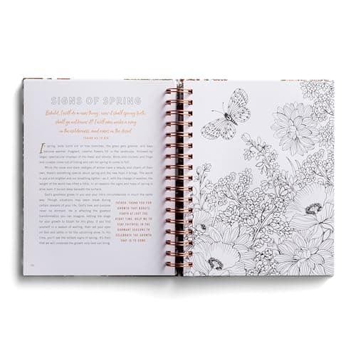 Set Your Mind on Things Above: Devotional Coloring Book