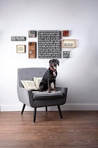 Primitives by Kathy Rustic Wooden Decor Sign - 'Dogs Welcome, People Tolerated' - Office/Farmhouse Decor, Dog Lovers Gift, 5"