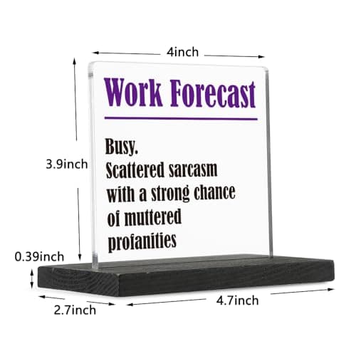 THRXOBN Cute Desk Decor for Coworker, Funny Profanity Gift for Work Colleague, Employee, Joke Birthday Office Gift for Coworker,Transparent Acrylic Desk Decoration, WYZ1