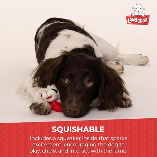 Multipet Lamb Chop Dog Plush Toy - Squeaky Toy for All Dogs - Extra Soft Plush - Stuffed Animal Dog Toy for Cuddling & Playing - Cute Pet Toy (6", Cream)