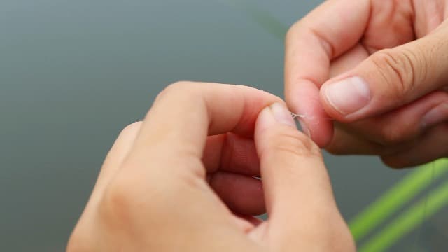 Fly Fishing Flies Assortment Kit Dry Wet Nyphms Tenkara Popper Streamer Woolly Bugger for Trout Bass Salmon Steelhead with Fly Box