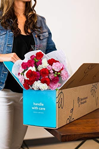 Benchmark Bouquets - 20 Stem Rainbow Mini Carnations (Glass Vase Included) - Fresh Flowers for Delivery - Gift for Birthday, Anniversary, Sympathy, Get Well, Congratulations, Thanksgiving, Christmas