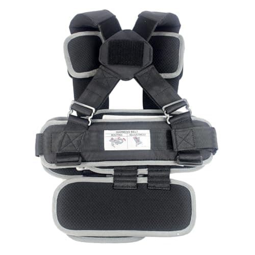 Small Black, Lightweight, Compact, Portable Car Seat - Perfect for Travel and Everyday Child Safety