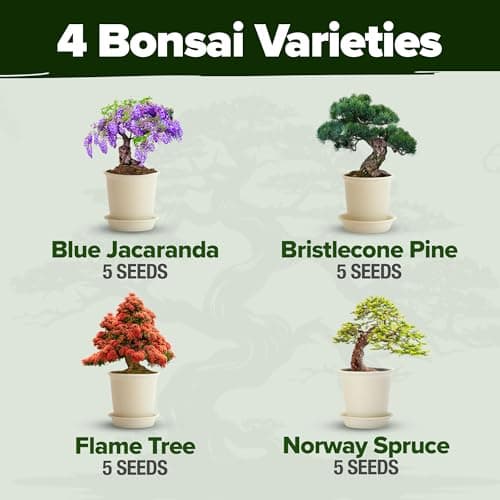 Bonsai Tree Kit - Gifts for Men & Women - Grow 4 Bonsai Trees - Unique Gardening Crafts for Adults, DIY Hobbies for Plant Lovers & Gardeners - Unusual Christmas Gift Ideas for Mom & Dad