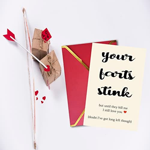 Unique Valentines Gifts for Him or Her, Humorous Birthday Card for Boyfriend, Cheeky Anniversary Card Gifts for Husband or Wife, Happy Your Farts Stink Bday Card for Fiance BF GF…