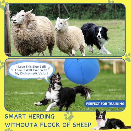 Herding Ball for Dogs - 18" Dog Herding Ball, Agility Equipment, Herding Ball for Australian/German Shepherd Collie, Dog Toys for Christmas/Birthday Gifts (Blue, Medium - 18")