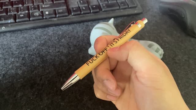 11Pcs Funny Adult Ballpoint Pen Set, Premium Days of The Week Swear Cuss Word Pens for Office Gifts, Novelty Pens for Corworkers