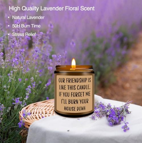 Homsolver Friends Birthday Christmas Gifts for Women, Friend Funny Scented Soy Candles Gift, Our Friendship Candle Premium Lavender Scent