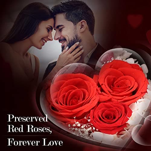 ADDWel Preserved Rose Gifts for Her, Forever Real Flowers with Sterling Silver Necklace for Wife Girlfriend Mom on Birthday Anniversary