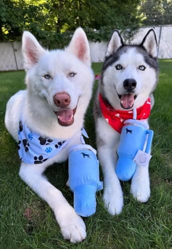 Pup Cup Tumbler Dog Toy – Birthday Dog Toy, Funny Squeaky Plush Puppy Gift, Cute Birthday Present (Pink Peach Dust)