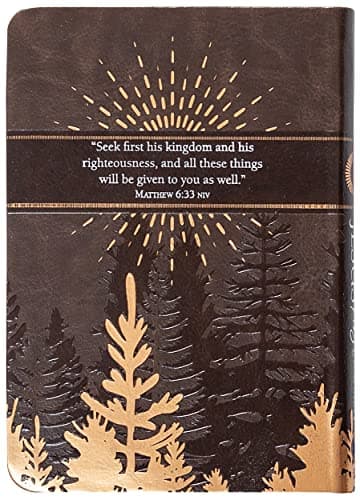 Jesus First for Men: 365 Devotions to Start Your Day