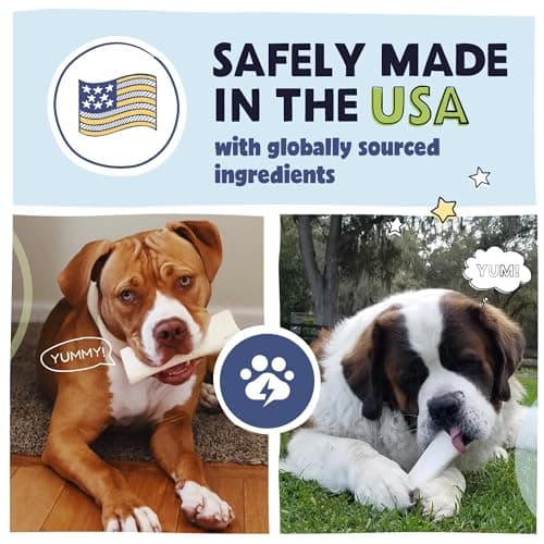 Pawstruck Large 5-6” Filled Dog Bones Variety Pack - Peanut Butter, Cheese & Bacon, Beef Flavors - Made in USA, Long Lasting Stuffed Femur Treat for Aggressive Chewers - Pack of 3, Packaging May Vary