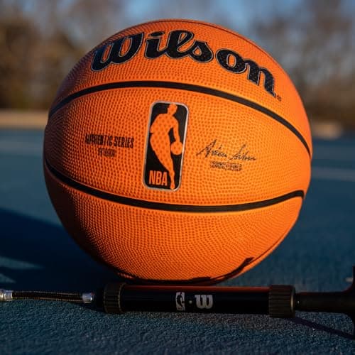 WILSON NBA Authentic Series Outdoor Basketballs