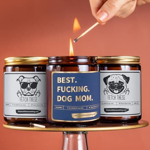 Best Dog Mom Funny Scented Candle - Dog Mom Gifts for Women for Birthday Christmas Mothers Day Thanksgiving - Birthday Gift from Dogs, Fur Mama Gift Ideas, Animal Decor - Pet Lovers Candle