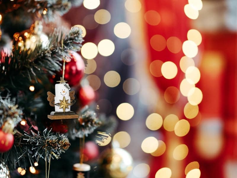 2025 Smores Ornament, Birdwatcher Gifts, Cardinal Christmas Ornaments, Bird Ornament, Includes Hangtag w Year, Comes in Gift Box