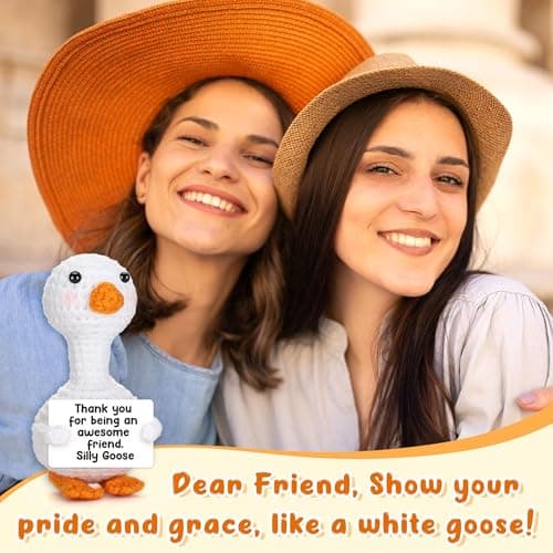 Mini Goose Best Friend Birthday Gifts for Women Men, Friendship Gifts for Her College Teen Girls, Thanksgiving Christmas Bestie BFF Long Distance Gift, Handmade Crochet Animals Funny Desk Silly Goose