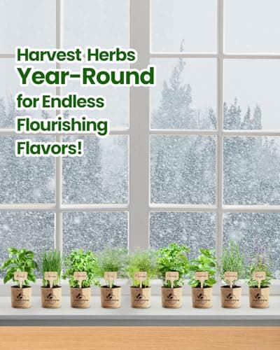 Christmas Gifts for Mom, Women, Her - 9 Herb Indoor Garden Starter Kit with Pots, Soil & Tools - Unique Birthday Gifts for Women, Housewarming Present for Wife - Grow Kitchen Windowsill Herbs