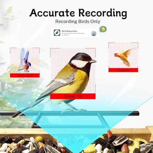 TT Nature Bird Feeder with Camera, Upgraded 1.5L Smart Birdhouse Al Identify for 10000 Plus Species, Auto Capture & Real-time Notifications, Ideal Gift for Bird Lovers (Iron Roof)