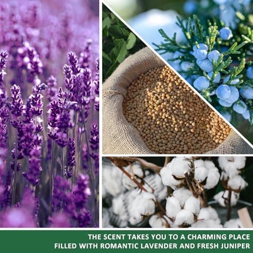 Graduation Gifts for Her/Him High School Seniors Class Of 2025 Nursing Grad Masters Degree 8th Grade College Graduation Gifts for Women Funny Congratulations Gift Candle for Sister Son Daughter Friend