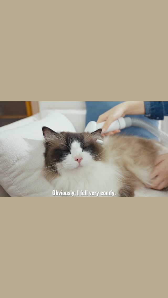 oneisall Cat Vacuum Groomer Quiet, Pet Vacuum Grooming Kit with Clipper Paw Trimmer & Brush, 1.5L Large Dust Cup Pet Vacuum for Shedding, Trimming & Home Cleaning