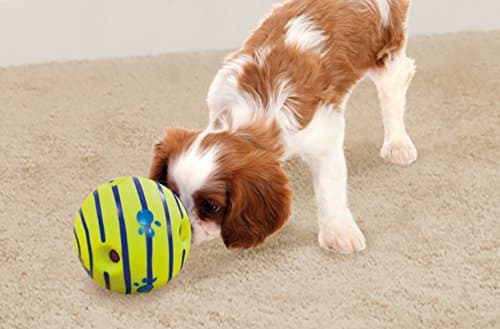 Wobble Wag Giggle Ball | Rolling Enrichment Toy for Fun Playtime, Interactive Play for Indoor or Outdoor, Keeps Dogs & Puppies Large, Medium or Small Busy & Moving, As Seen on TV | Pack of 1