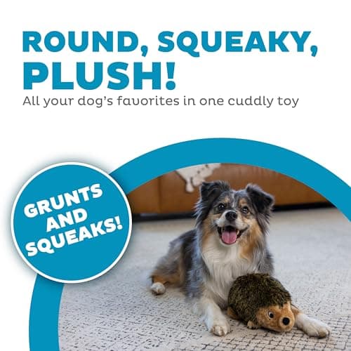 Outward Hound, Hedgehogz Plush Dog Toy, Medium