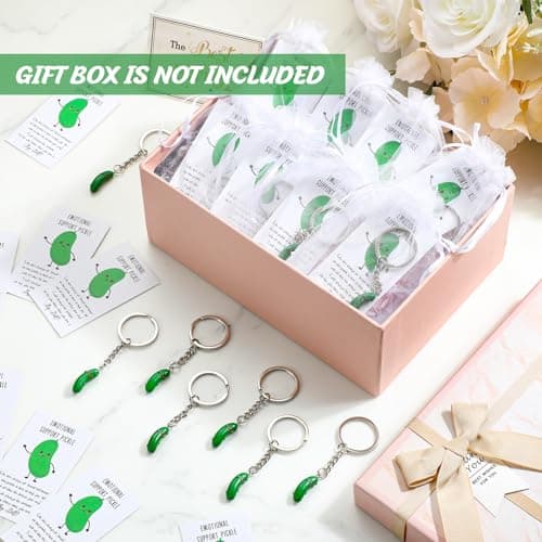 Inspirational Gifts Pickle Keychains Cute Emotional Gifts for Staff Employee Coworkers Appreciation Funny Pickle