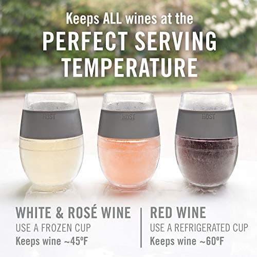 Host Wine Freeze Cup Set of 2 - Plastic Double Wall Insulated Wine Cooling Freezable Drink Vacuum Cup with Freezing Gel, Wine Glasses for Red and White Wine, 8.5 oz Coral