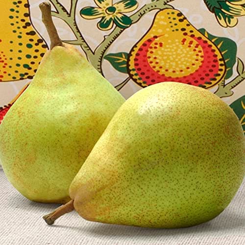 Happy Birthday Orchard Delight Fruit and Gourmet Gift Basket