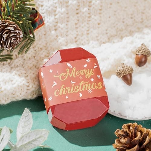 Womens Gifts for Christmas Mom Grandma Sister Wife Girlfriend Teacher Coworker Unique Christmas Gifts Basket Christmas Presents xmas Gift for Women